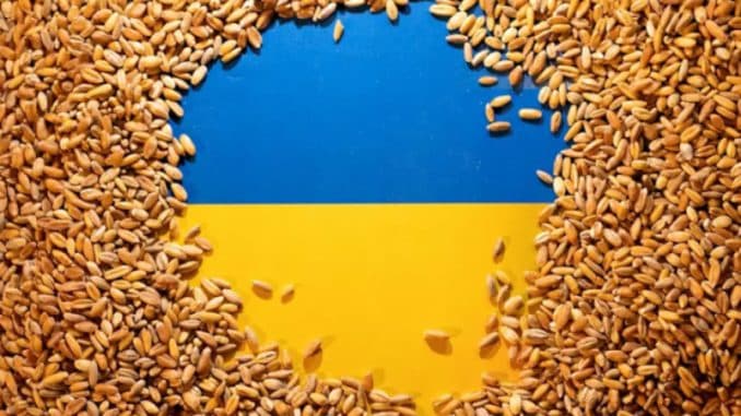 Европейският Съюз и Украйна транспортни проблеми при износ на зърно след прекратяването на Черноморската сделка