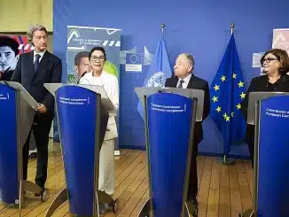 пътна безопасност оон в европейския парламент