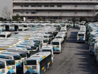 a group of buses parked in a parking lot