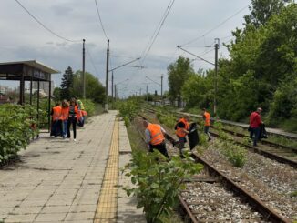 a group of people in orange vests on train tracks